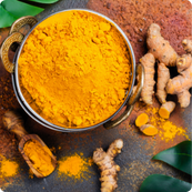 Turmeric Powder